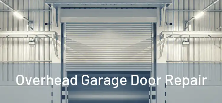  Overhead Garage Door Repair 